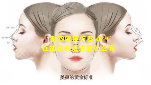 割双眼皮方案 🪴 在线咨询该注意什么呢